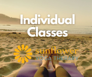 individual Individual Classes